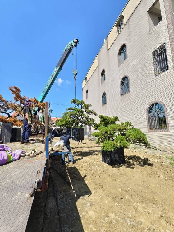 安平區 吊掛載運樹木 西港工程