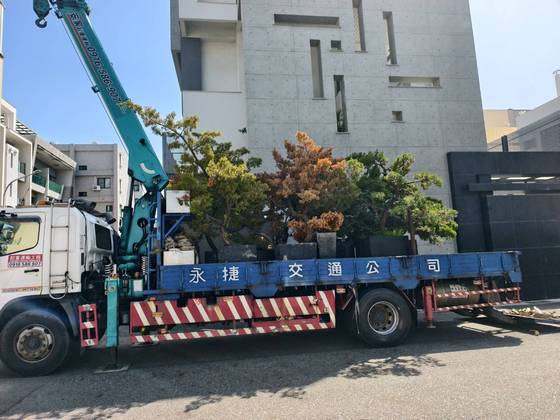 安平區 吊掛載運樹木 西港工程