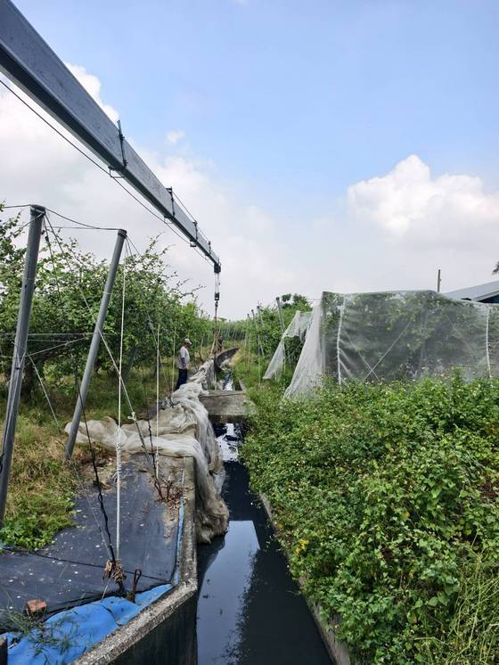 安定區吊掛廢網子工程