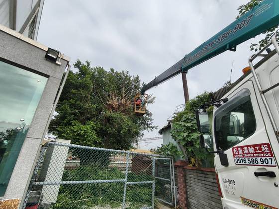 新營區 新營火車站樹木修剪工程