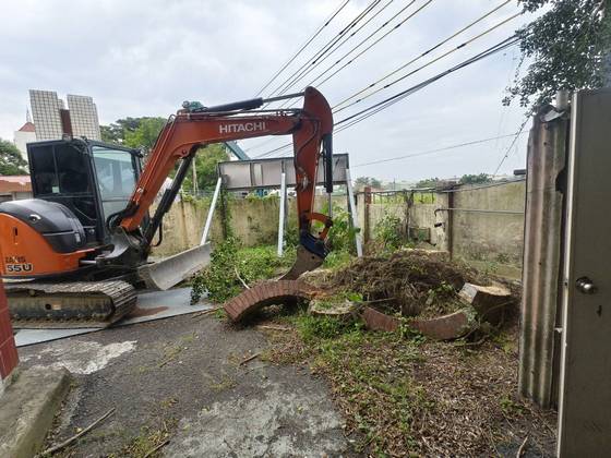 官田區 陽明工商學校樹木修剪