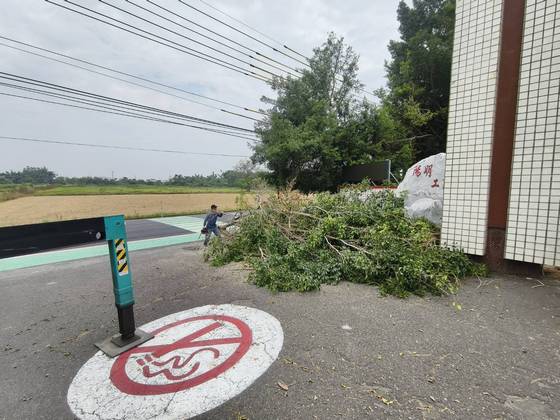 官田區 陽明工商學校樹木修剪