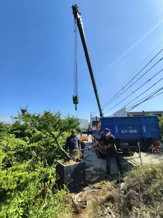 安平載運安南區 樹木運輸