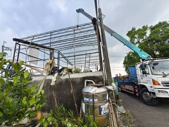 白河區 鐵屋矮化切割降低工程